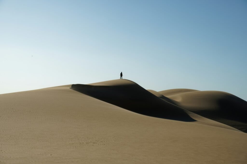 	budget travel Namibia wildlife