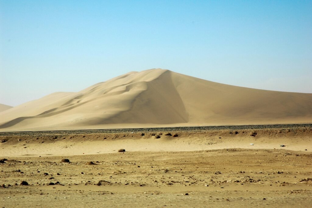 	budget travel Namibia wildlife