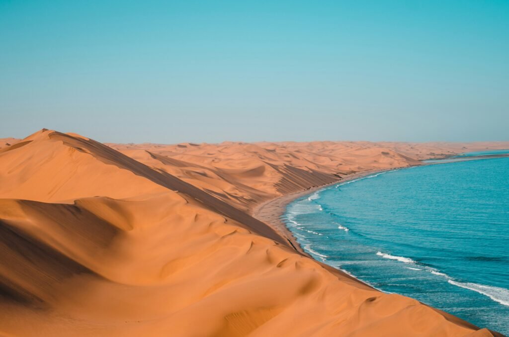 	budget travel Namibia wildlife